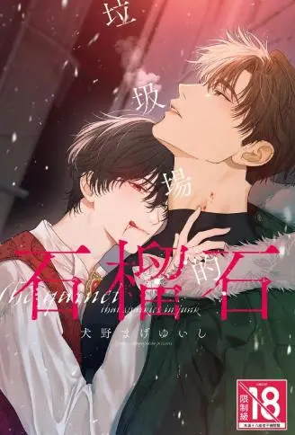 垃圾场的石榴石 WB版漫画