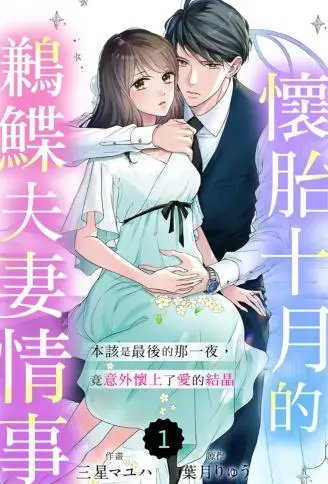 怀胎十月的鹣鲽夫妻情事～本该是最后的那一夜，竟意外怀上了爱的结晶～ WB版
