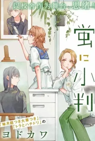 予猫以白鸟，予萤以金币 WB版
