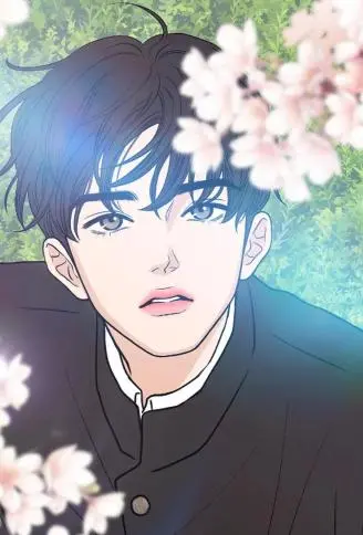 未及绽放 WB版
