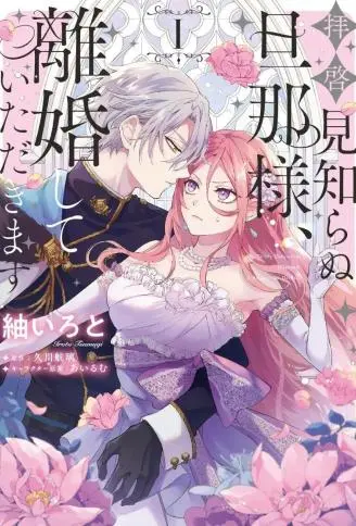 敬启者素未谋面的丈夫、请和我离婚 WB版
