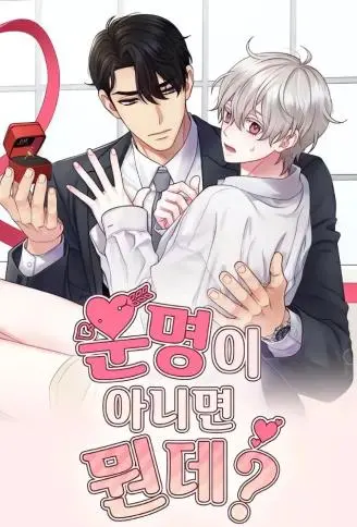 如果不是命运，那是什么？ WB版