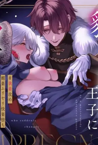 王女殿下被神秘性格突变且执着的王子受孕了 WB版