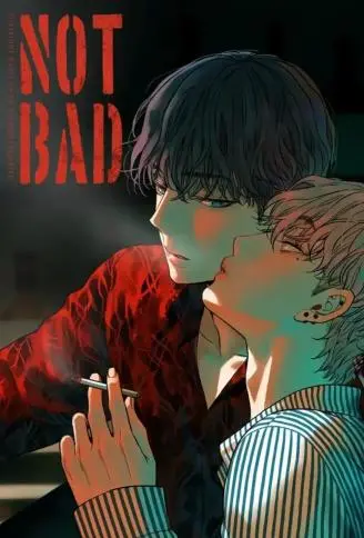 NOT BAD WB版