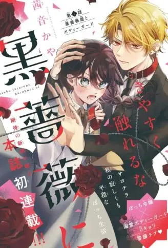 不可轻易触碰那黑蔷薇 WB版