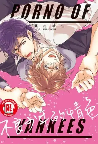 不良少年的情色 WB版