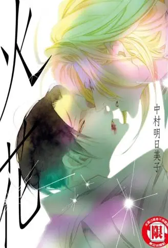 火花 WB版