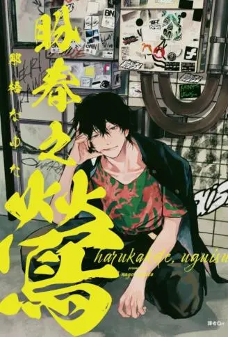 莺盼春来 WB版