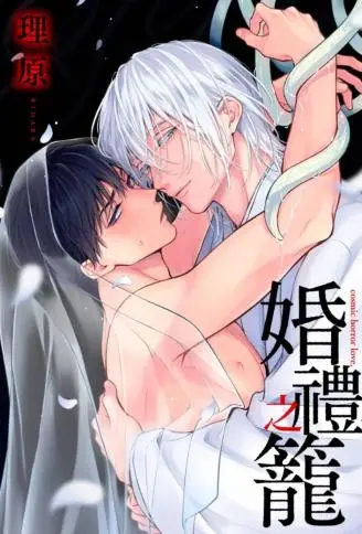 婚礼之笼 WB版
