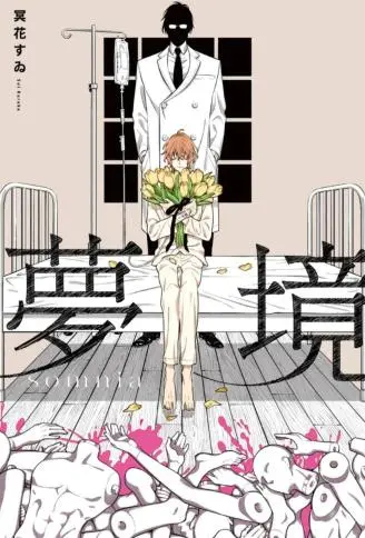梦境 somnia WB版