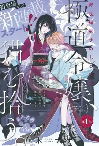 黑道千金、捡到猫 WB版