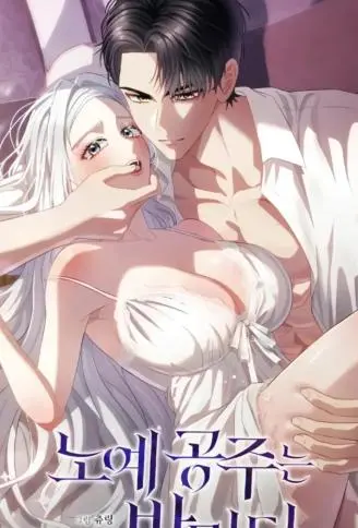 奴隶公主的夜之契约 WB版