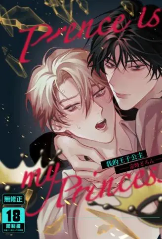 我的王子公主 WB版