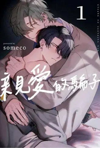 亲爱的骗子 WB版