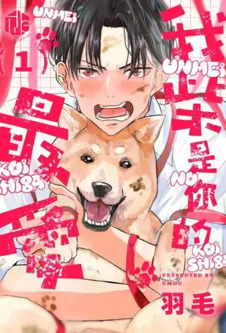我「柴」是你的最爱 WB版