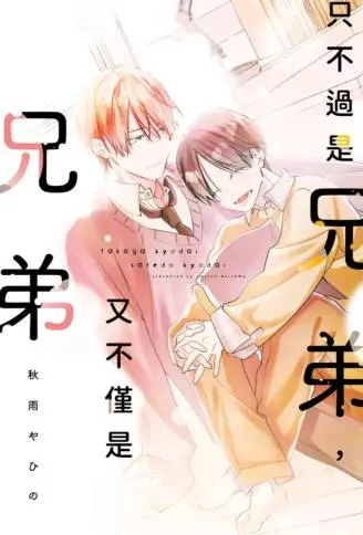 只不过是兄弟，又不仅是兄弟 WB版