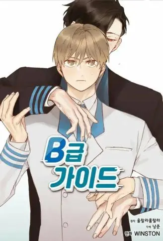 B级向导 WB版
