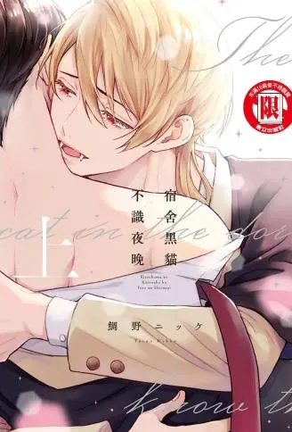 宿舍黑猫不识夜晚 WB版