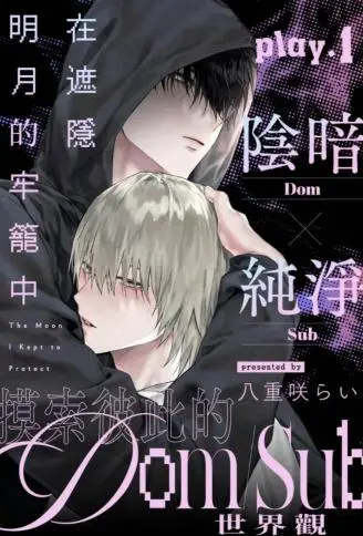 在遮隐明月的牢笼中 WB版