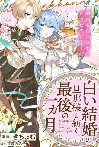和无性婚姻的丈夫过的最后一个月 WB版
