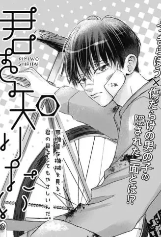 想了解你 WB版