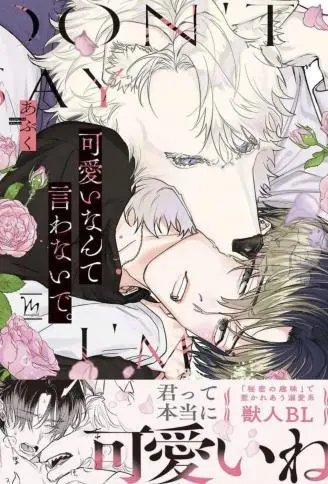 不要说我可爱 WB版