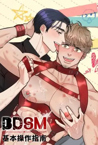 BDSM基本操作指南 WB版