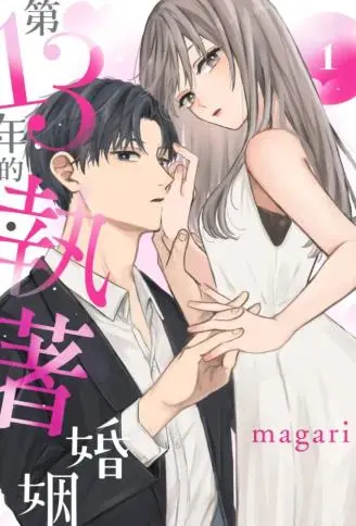 第13年的执着婚姻 WB版