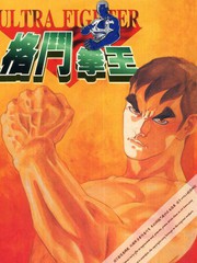 格斗拳王