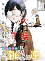 大和抚子来源漫画