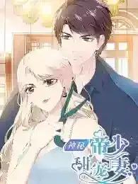 神秘帝少甜宠妻