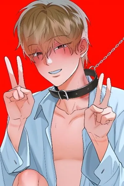 一段完美的关系