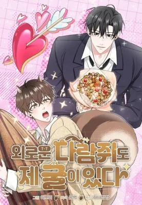 孤独松鼠也有自己的巢
